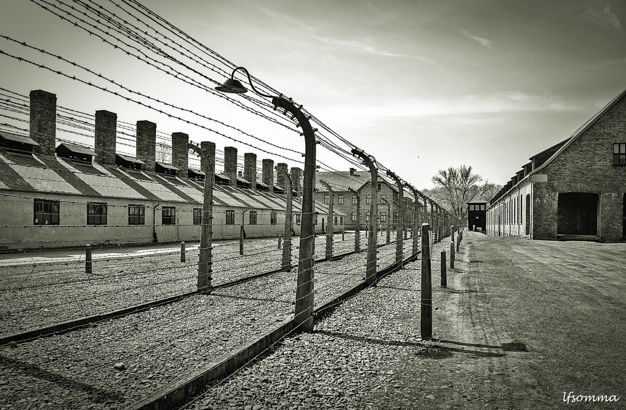 "Auschwitz" de Luis Fernando Somma (fernando)