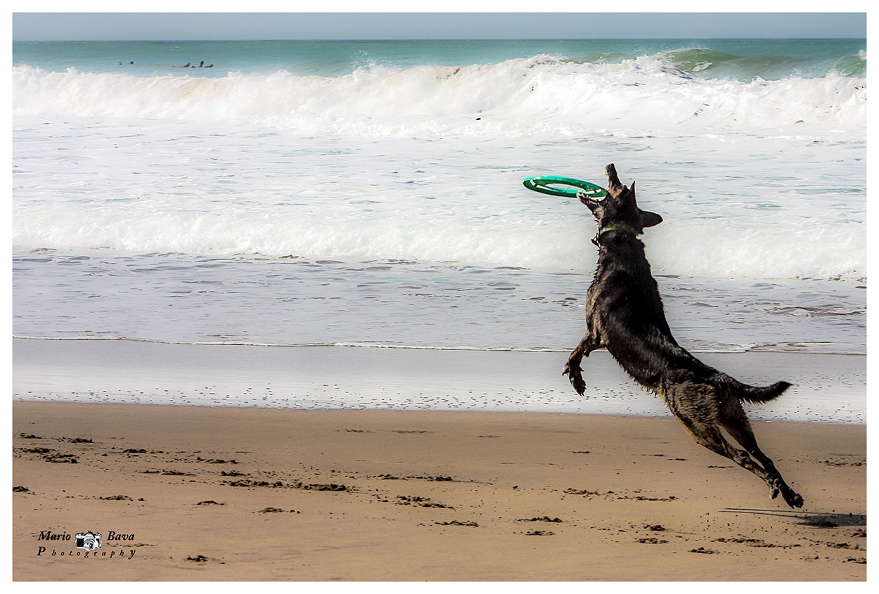 "Friduchis y con su fresbee en la playa" de Mario Bava