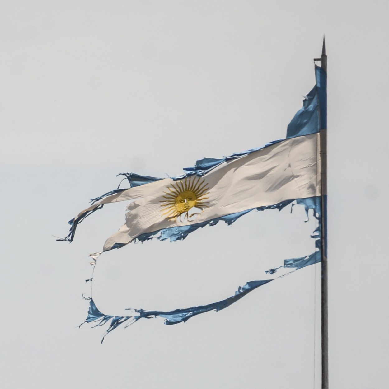 "Bandera Del Campo Argentino" de Hernn Vega