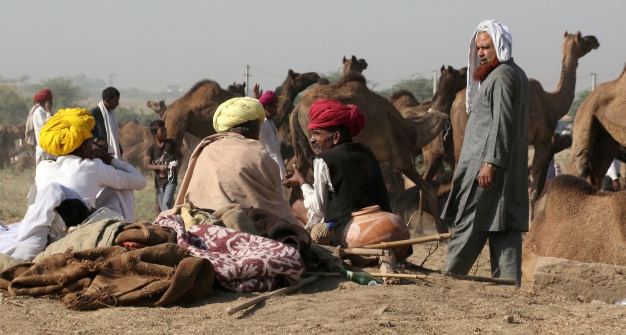 "Pushkar, Feria de camellos." de Francisco Luis Azpiroz Costa