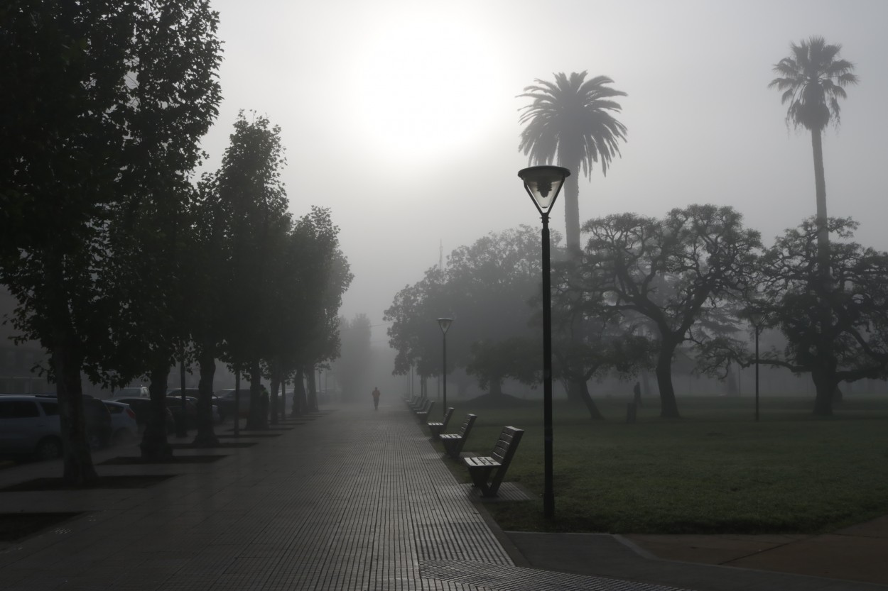 "Bajo un manto de neblina" de Norma Navarro