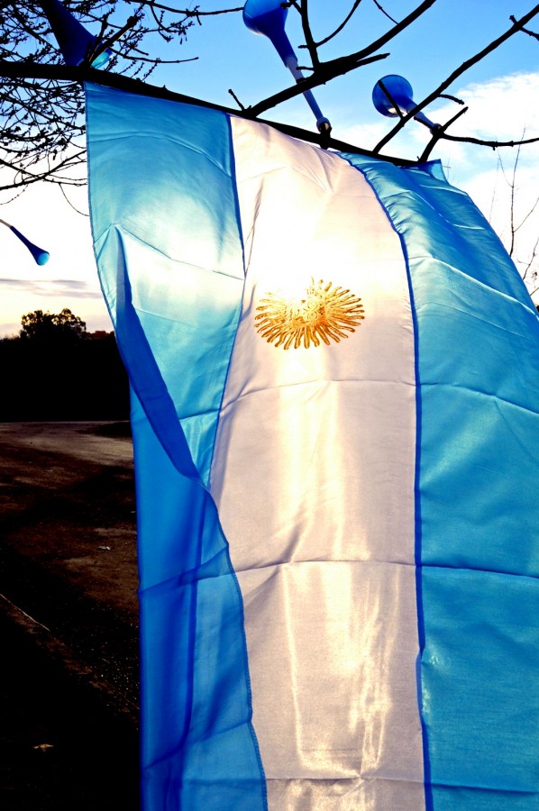 "Vamos Argentina!!!" de Carlos E. Wydler
