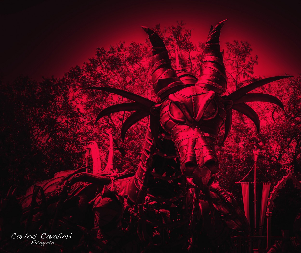 "Dragon Rojo" de Carlos Cavalieri