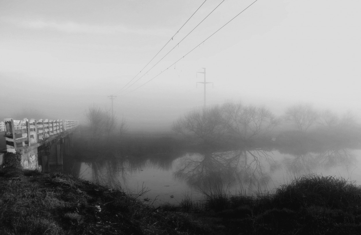 "amanecer de pampa y niebla" de Viviana Garca
