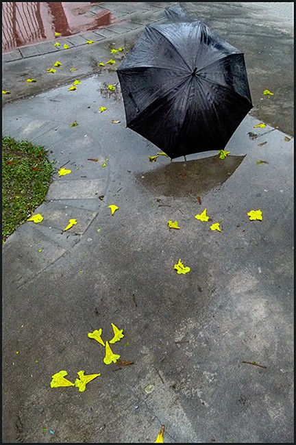"Otoal y lluviosa tarde" de Ruben Perea