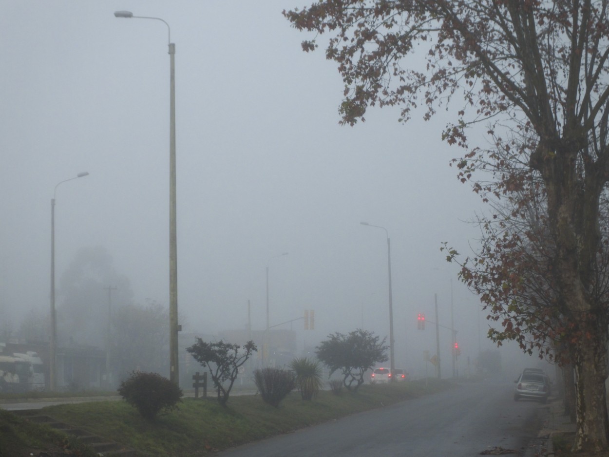 "Niebla en la ruta" de Juan Fco. Fernndez