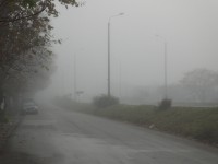 Niebla en la ruta (2)