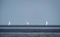 tres veleros