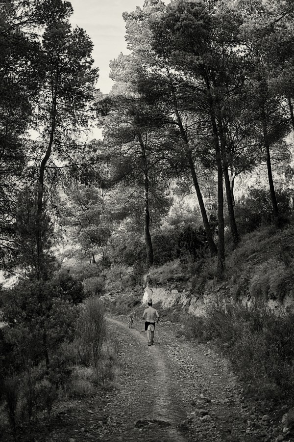 "Caminante" de Francisco Jos Cerd Ortiz