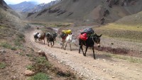 Cruce de los Andes