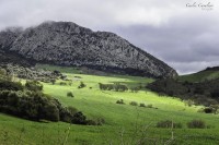 Los Campos de Andalucia