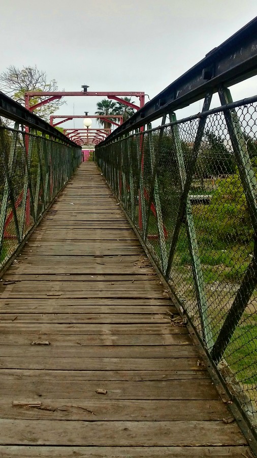 "Largo puente" de Roberto Guillermo Hagemann