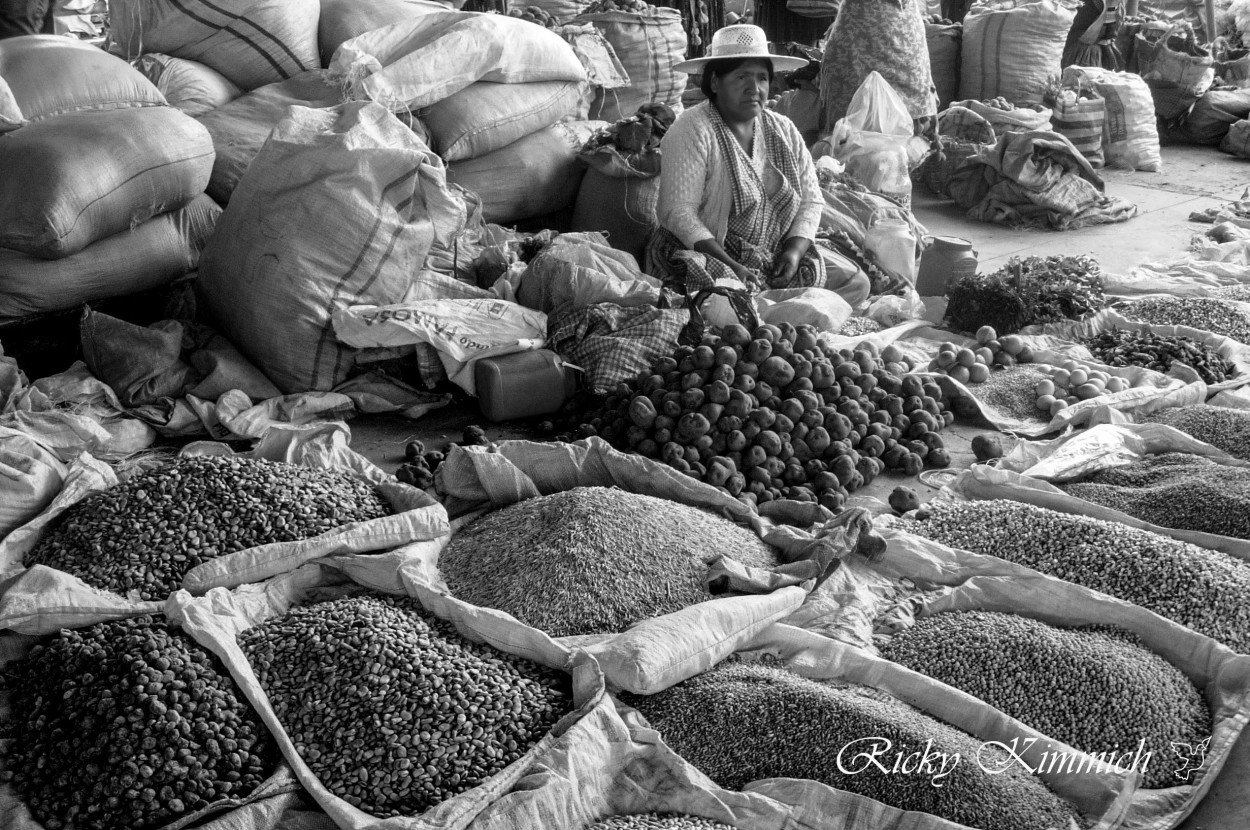 "Cholita en el Mercado de Granos" de Ricky Kimmich