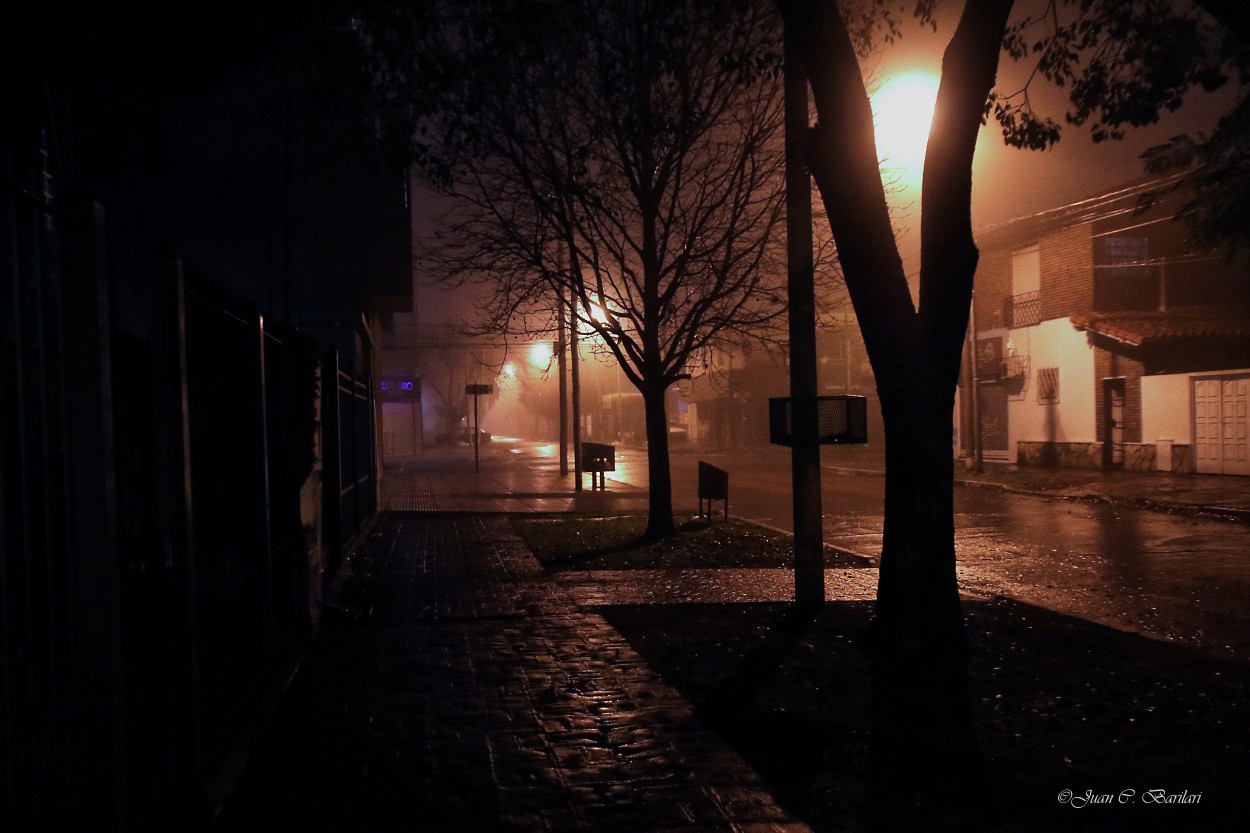"Niebla nocturna" de Juan Carlos Barilari