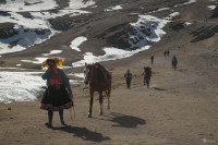 Serie: Cord. de los Andes #Per - Caballos
