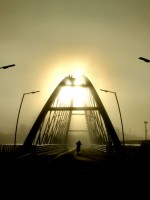 Neblina en el puente