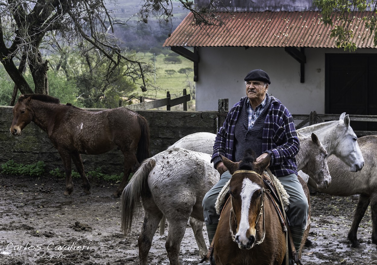 "Don Beto Paredes. n hombre de a caballo" de Carlos Cavalieri