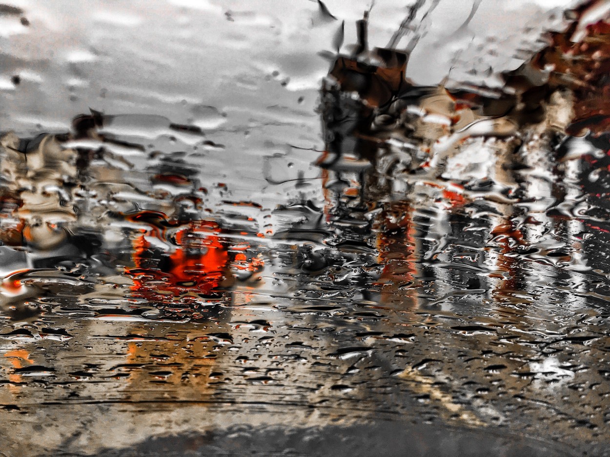"Donde va la gente cuando llueve" de Luis Alberto Bellini