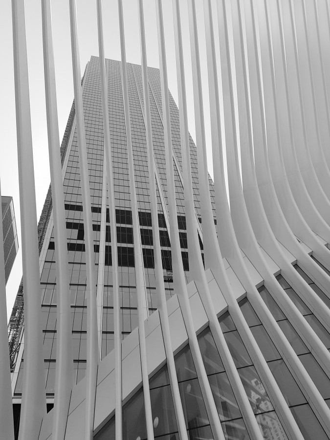 "Lneas del WTC" de Juan Pablo Cornejo