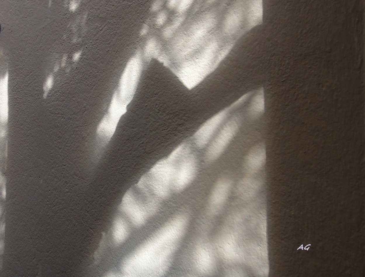 "sombras en mi patio" de Ana Giorno
