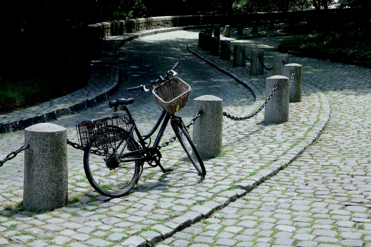"Bicii en descanso" de Francisco Luis Azpiroz Costa
