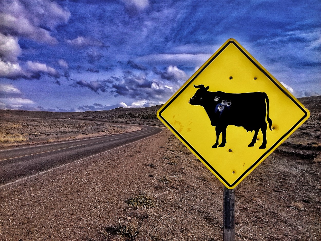 "Vaca muerta o toro en pie?" de Gustavo Luben Ivanoff