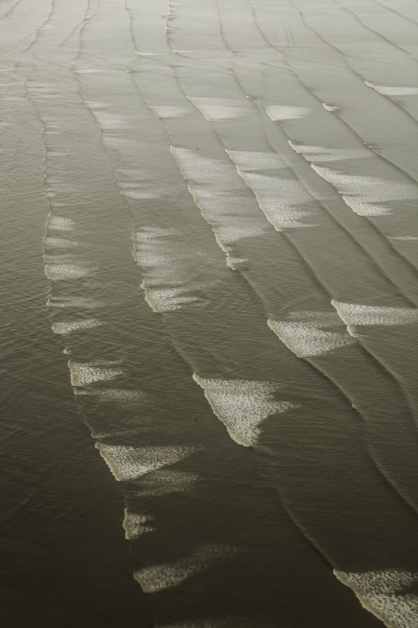 "Plumerillos en el mar" de Mara Andreadiaz