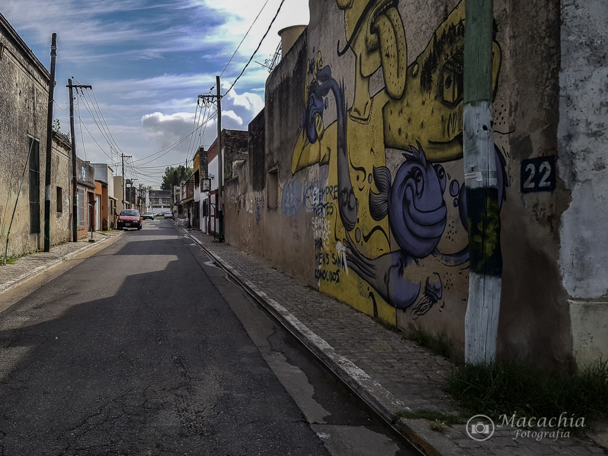 "`Las calles solitarias de mi barrio`" de Mara Del Carmen Chiavaro