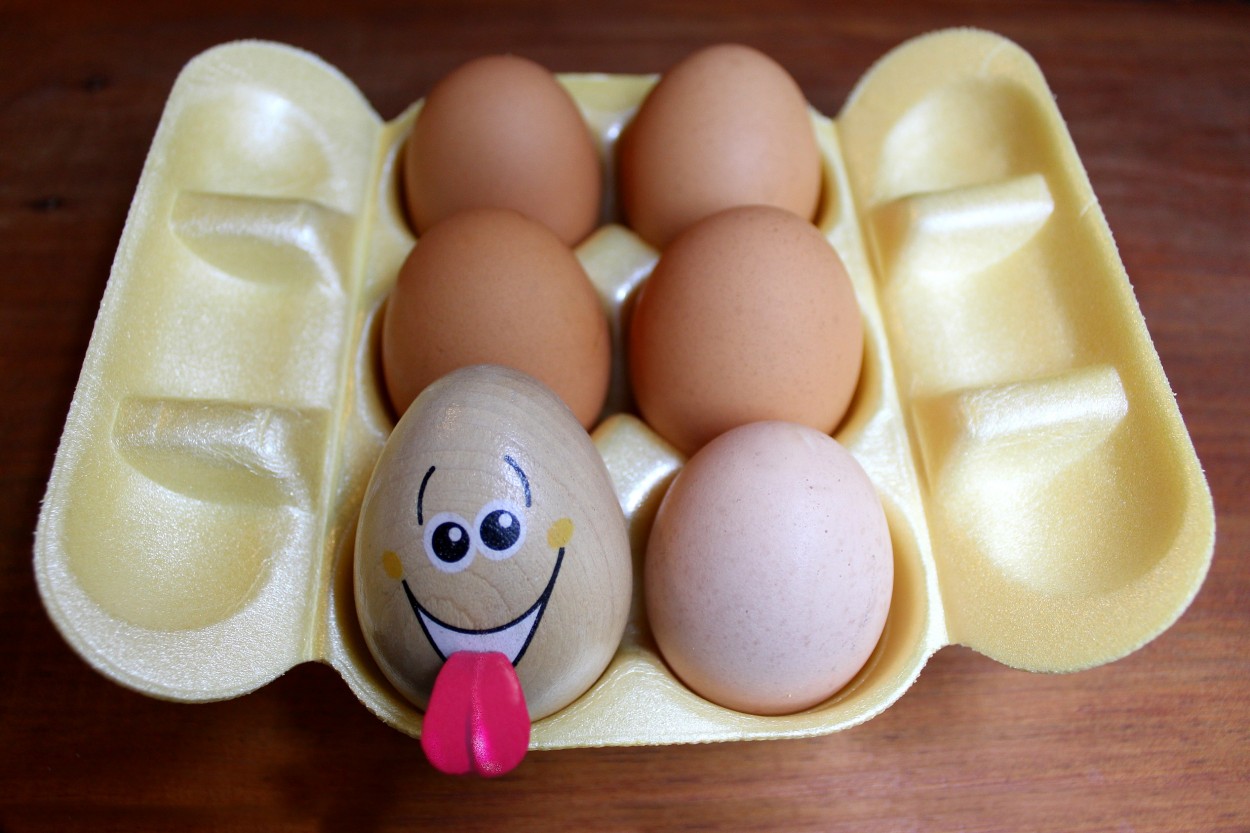 "Mi huevo alegre" de Carlos Gustavo Ayliffe