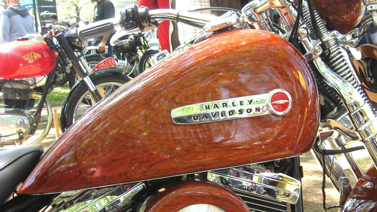 "Harley" de Fernando Robledo