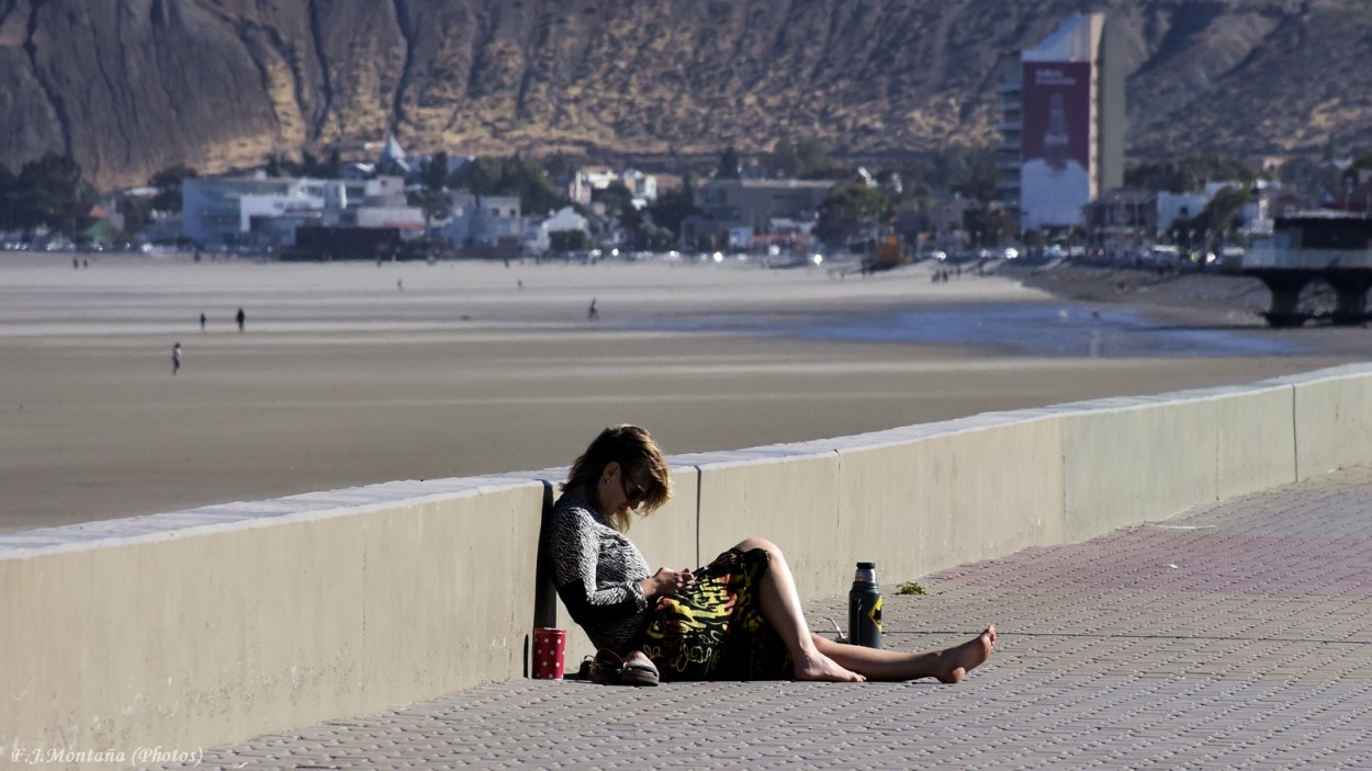 "Mates, playa, sol y lectura" de Francisco Jos Montaa