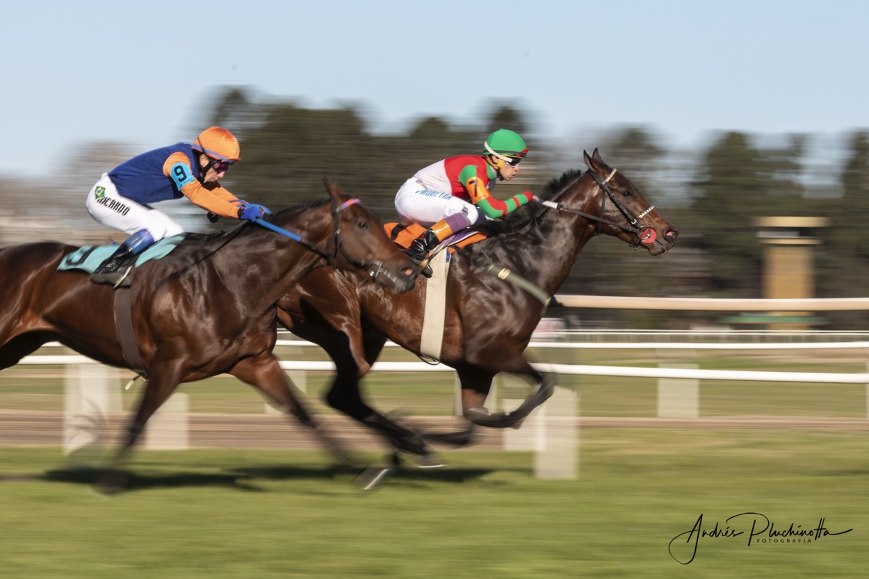 "Por un cuerpo" de Andr�s Pluchinotta