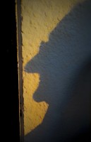 La sombra que en la tarde da una pared