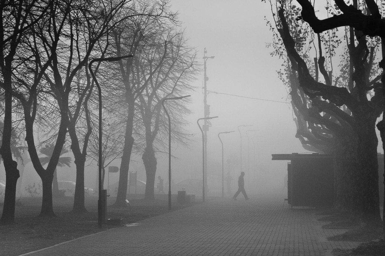 "Al kiosco en la niebla" de Fernando Valdez Vazquez
