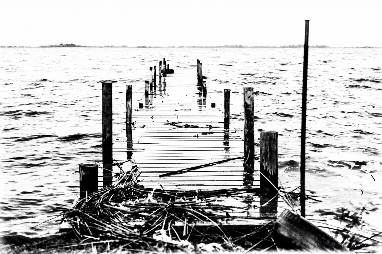 "Contra viento y marea" de Gustavo Ayerza