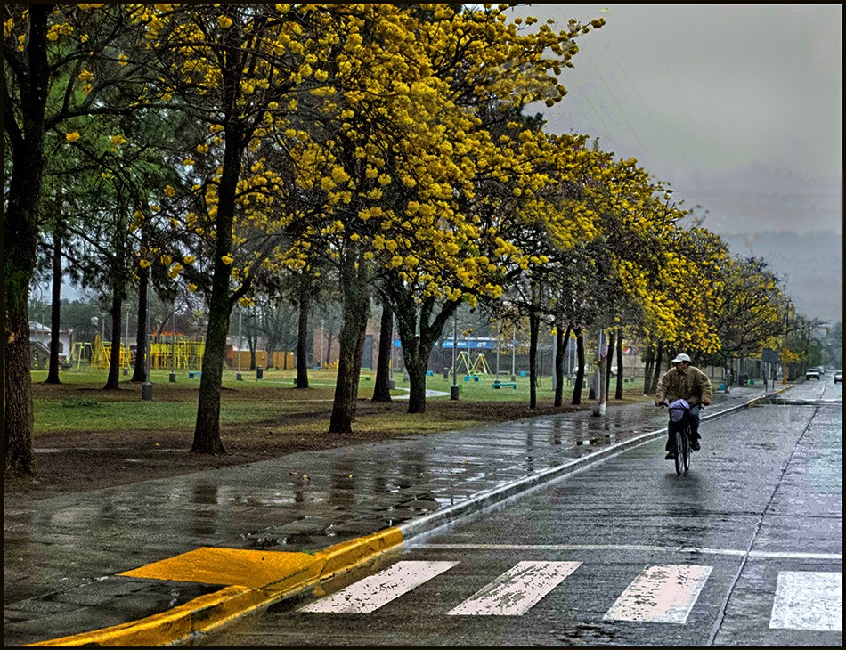 "Lluvia en primavera" de Ruben Perea