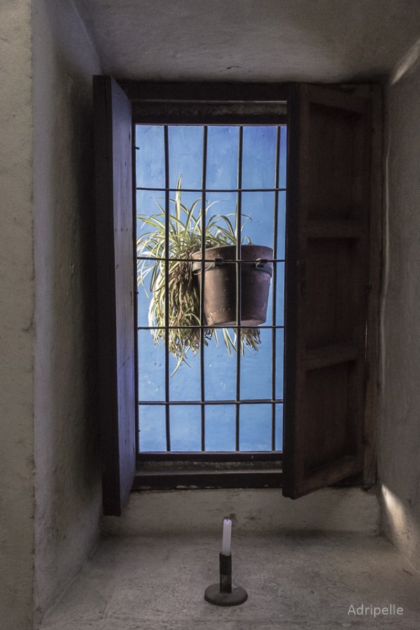 "La ventana" de Adriana Pellegrinelli