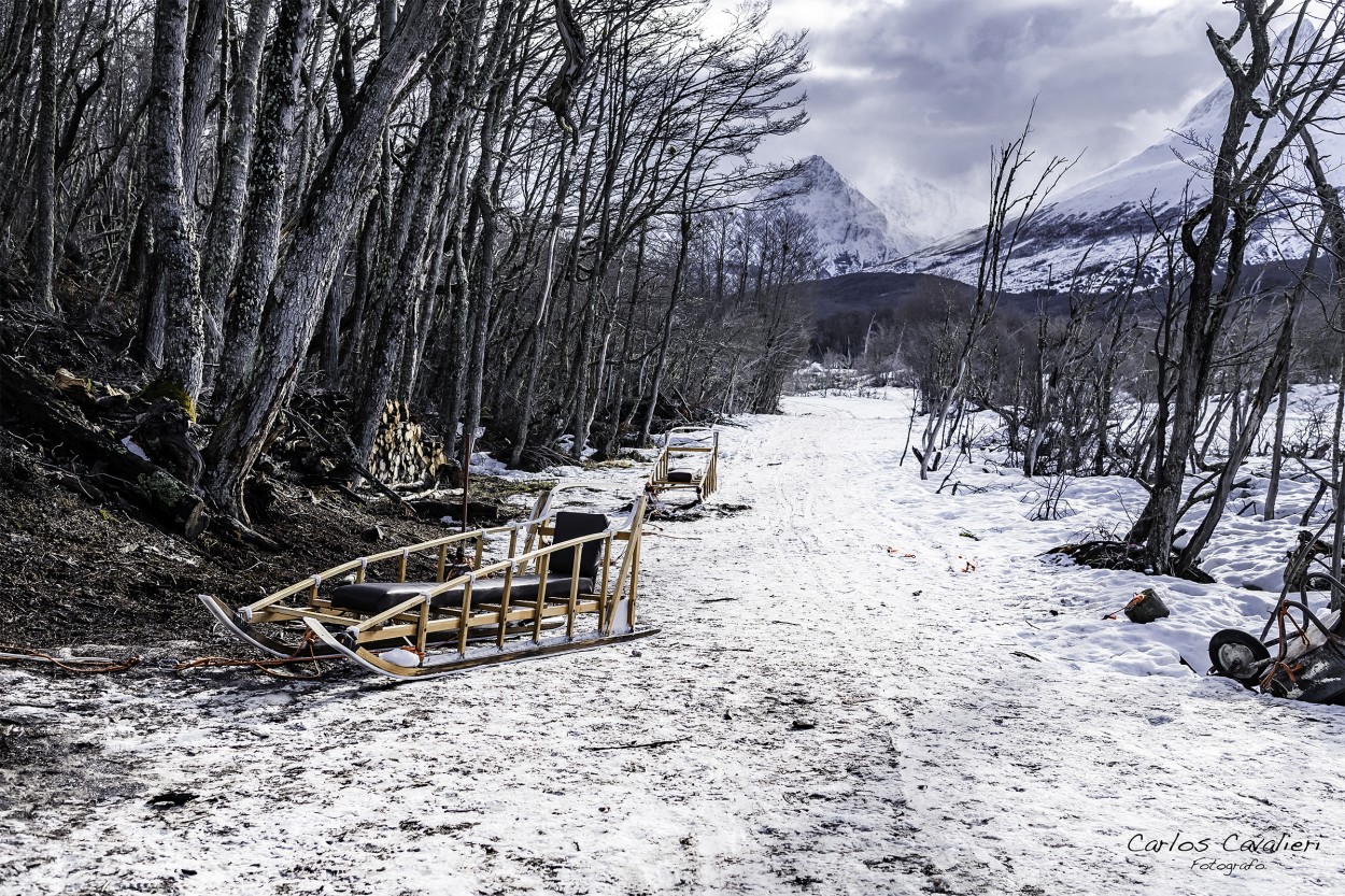 "Frio sendero invernal" de Carlos Cavalieri