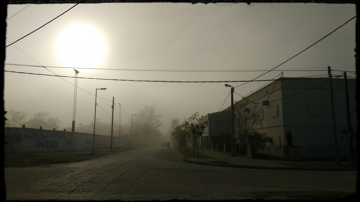 "Niebla" de Jos Luis Benitez