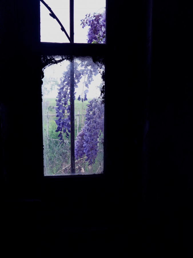 "abrir tu ventana" de Vernica Dana