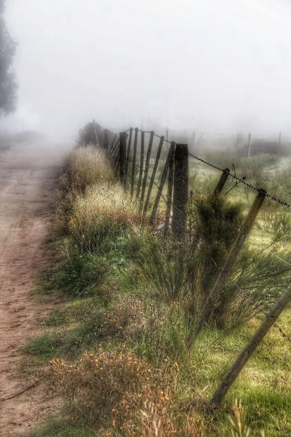 "Niebla" de Oscar Cortese