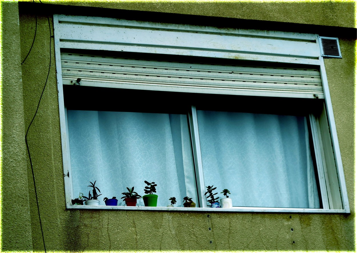"la ventana del vecino" de Vernica Dana