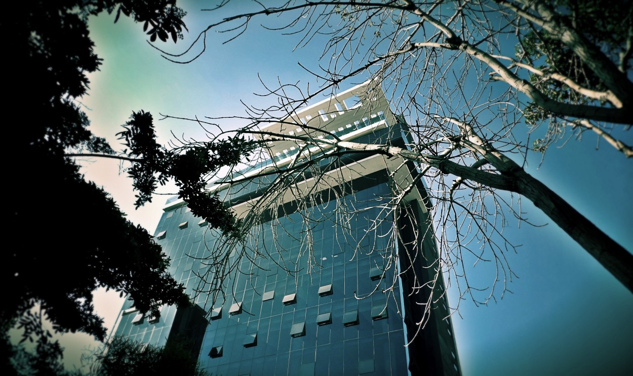 "Edificio" de Miguel ngel Nava Venegas ( Mike Navolta)
