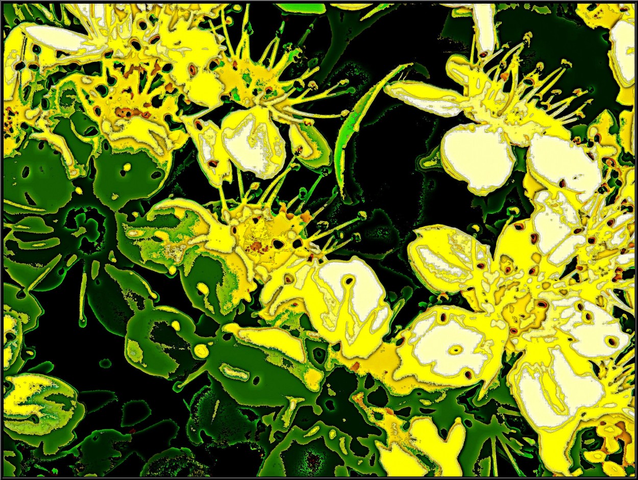 "Imagen floral psi" de Daniel Gil Feilberg