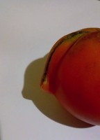 Perfil de un tomate