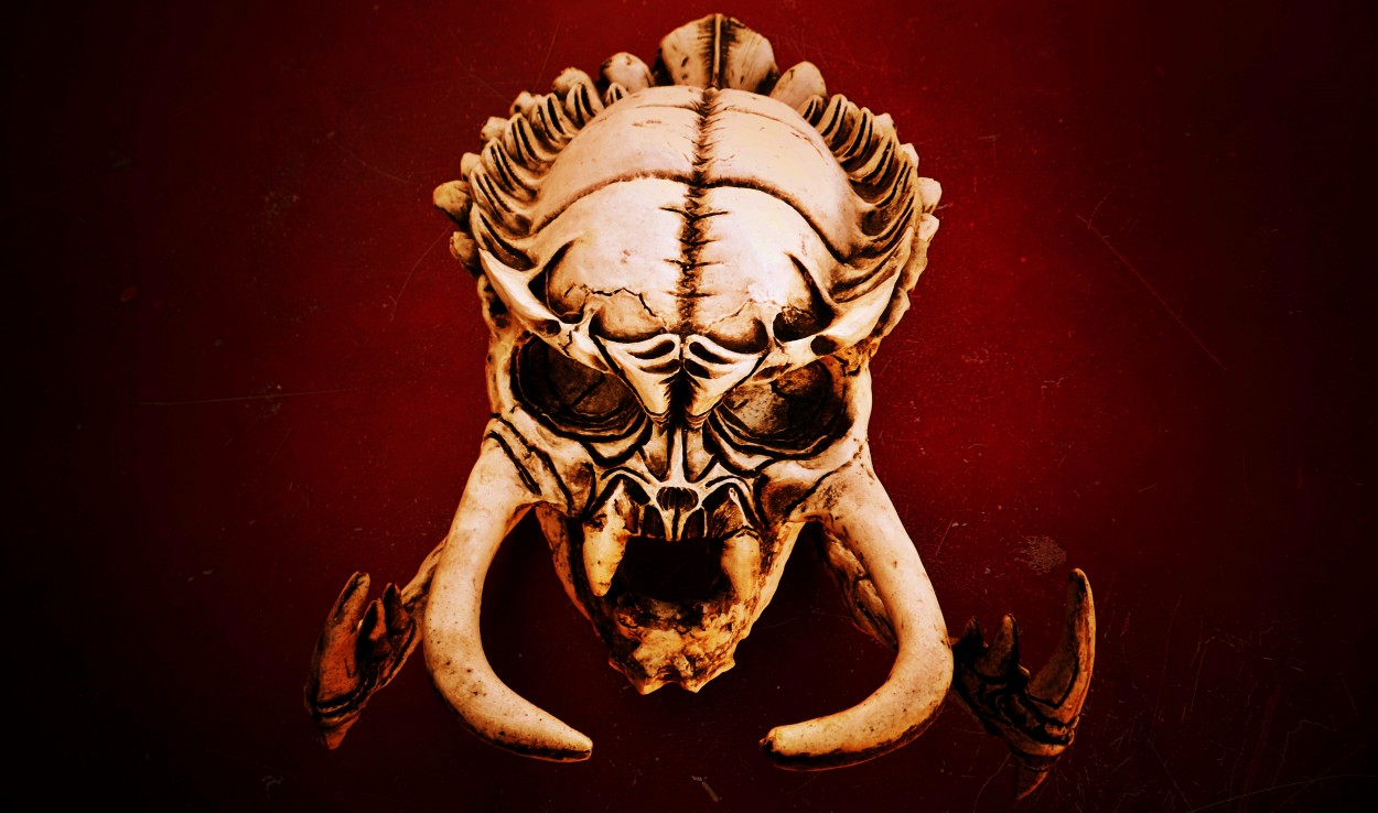"Predator Skull" de Miguel ngel Nava Venegas ( Mike Navolta)