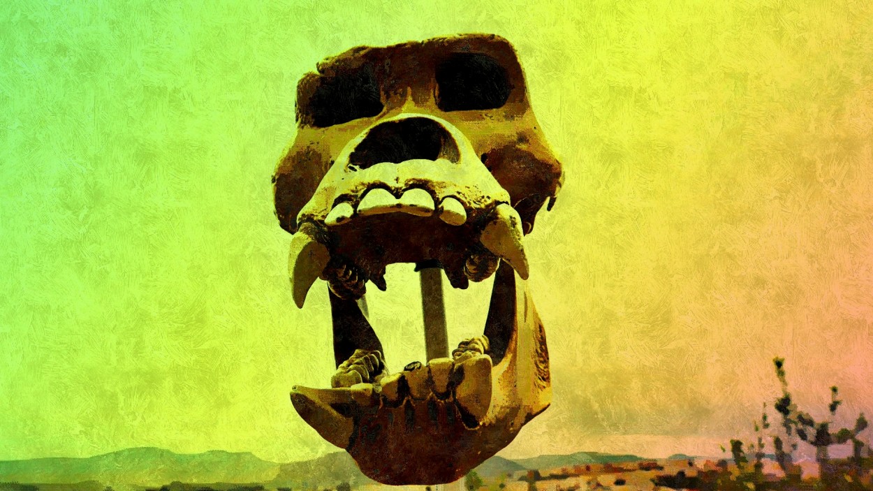 "King Kong Skull" de Miguel ngel Nava Venegas ( Mike Navolta)