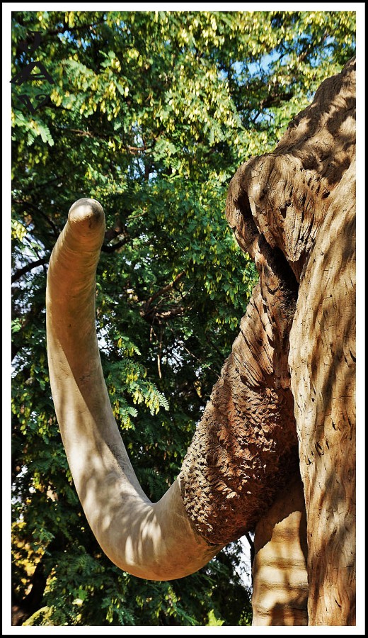 "el mamut. 2" de Joan A. Valentin Ruiz