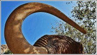 el mamut. 4