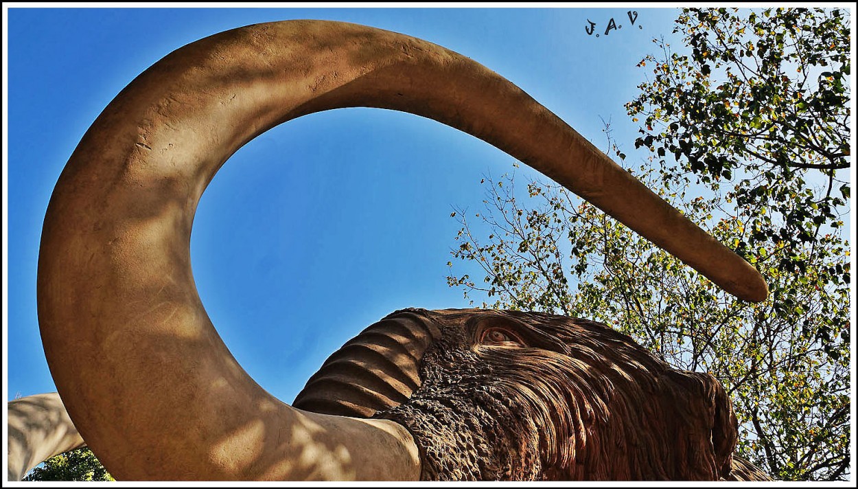 "el mamut. 4" de Joan A. Valentin Ruiz